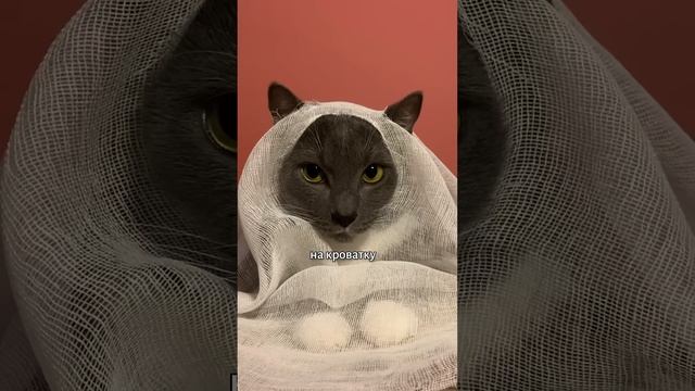 Страшно? :)