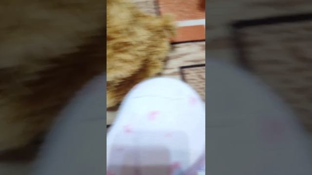 Первое видео Мили