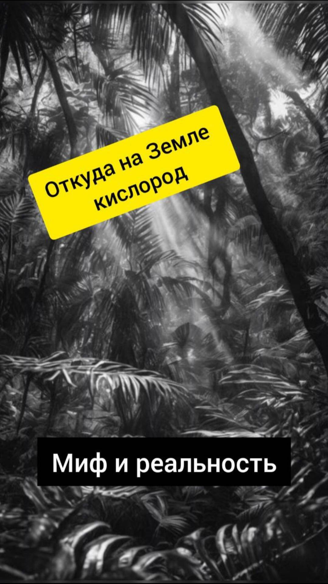 Откуда на Земле кислород?! Миф и реальность! #shorts #shortvideo #shortsvideo #кислород #земля #tree