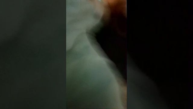 1000015863.mp4
