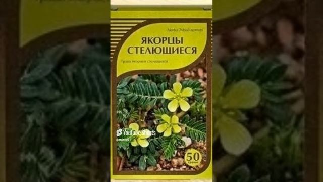 колючки