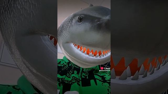 Like_7445155796839724594.mp4