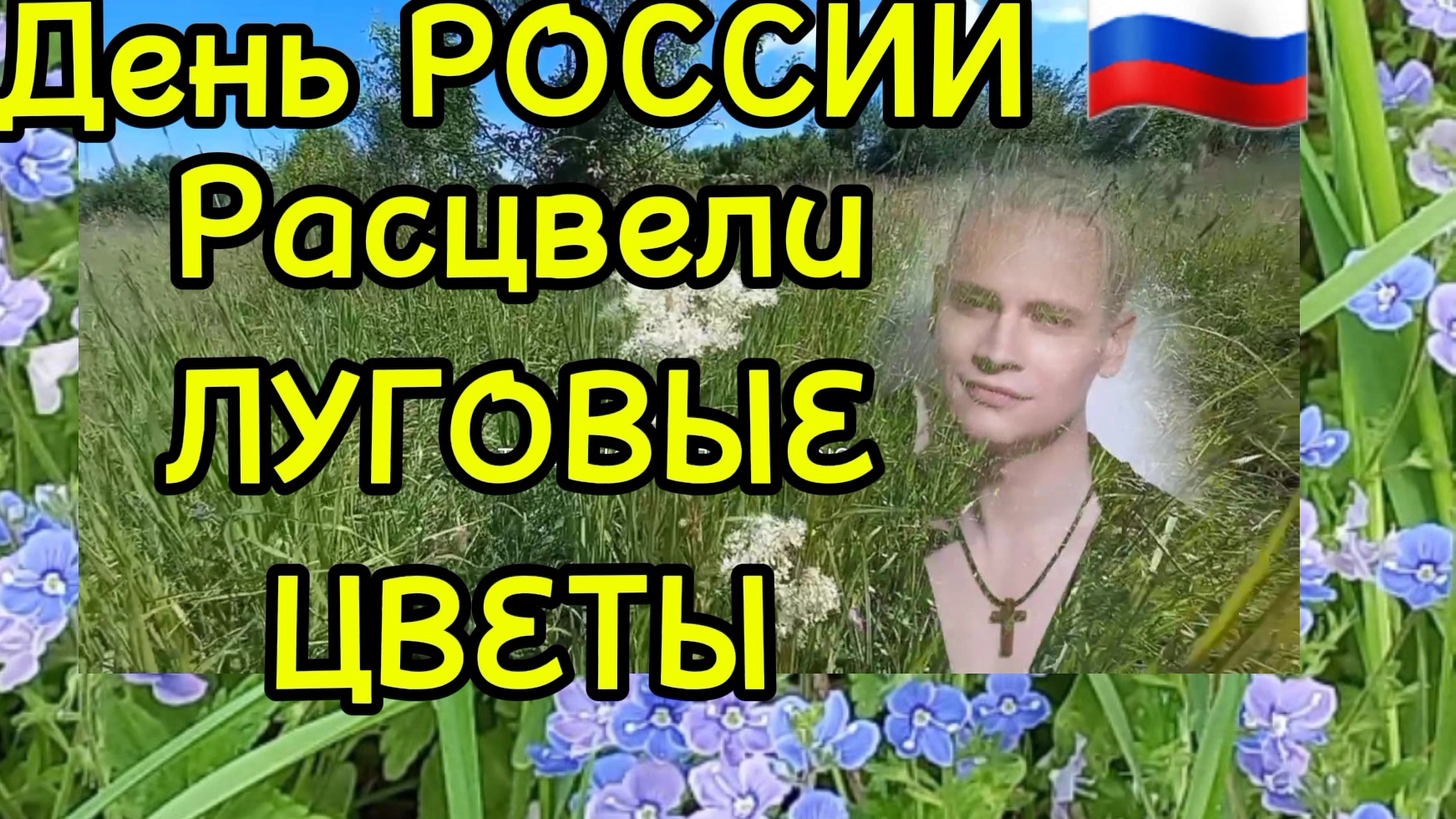 ЛУГОВЫЕ ЦВЕТЫ РОССИИ.Пение птиц Россия процветай.