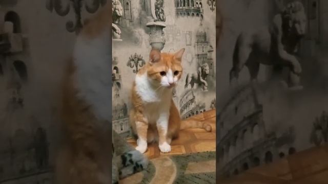 Гони рубль)))