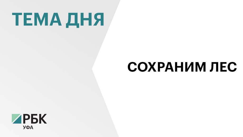 Более 1,5 млн саженцев деревьев высадили в Башкортостане в ходе всероссийской акции «Сохраним лес»