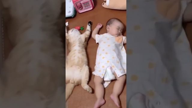 1000068703.mp4
