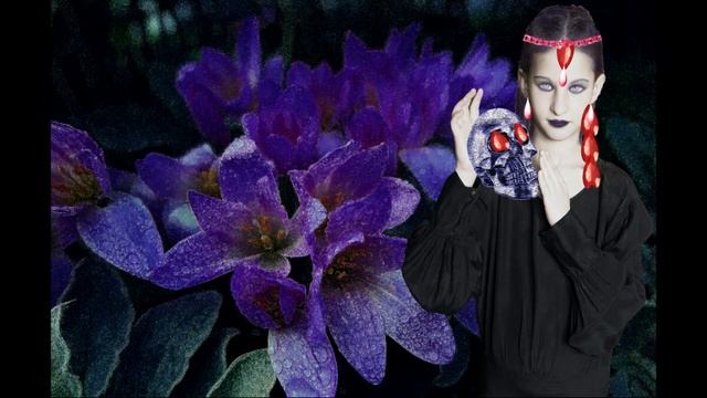 Превращения