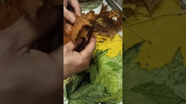 Flowers from fallen maple leaves.DIY!