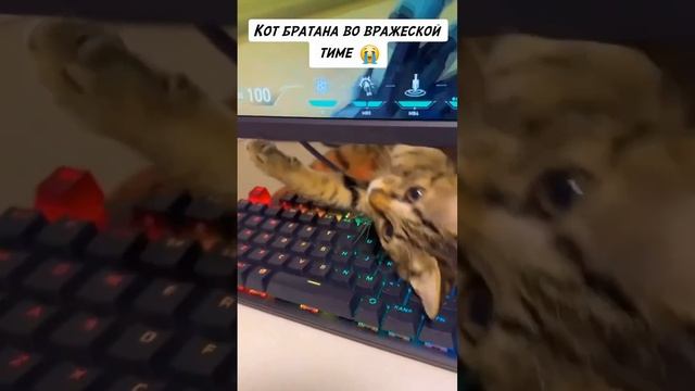 Хватит играть в эту фигню