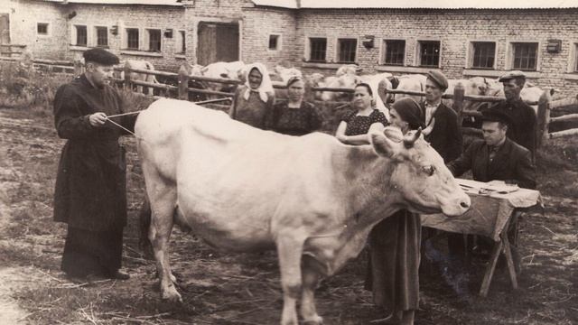 КОРОВА - сл Галины Яковлевой- Глейх муз Шулик Фингеров исполняет Любовь Кузнецова
