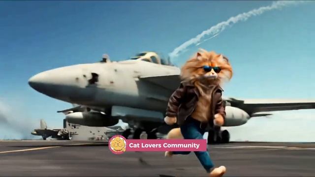 Def Kitty - Rocket Paws! 🐾🎸 Official Meowsic Video #catlovers #catloverscommunity