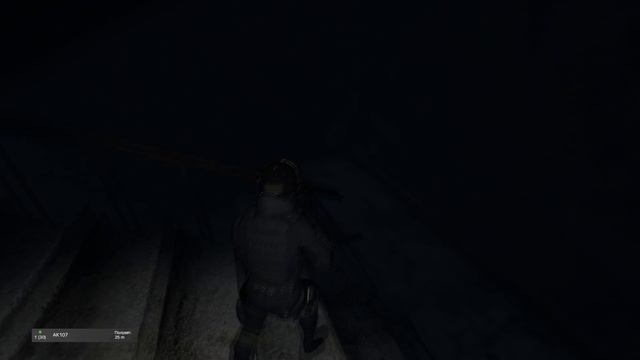 stalker dayz янтарь