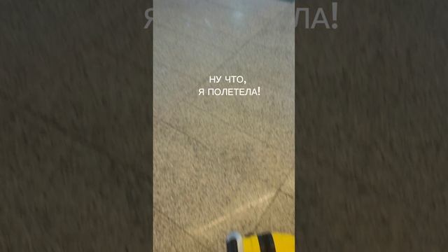 НУ ЧТО, Я ПОЛЕТЕЛА!