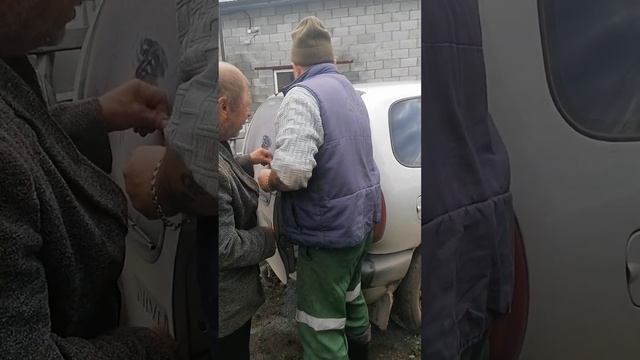 Гиссарские ярки уехали к Егору