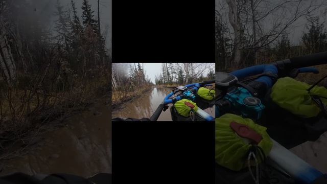 Моменты велопутешествия 🐻👀🚴🏞️