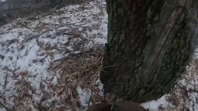 "Сдавайся, эй до**аеб!". Кадры с Курской области, штурм позиции ВСУ.