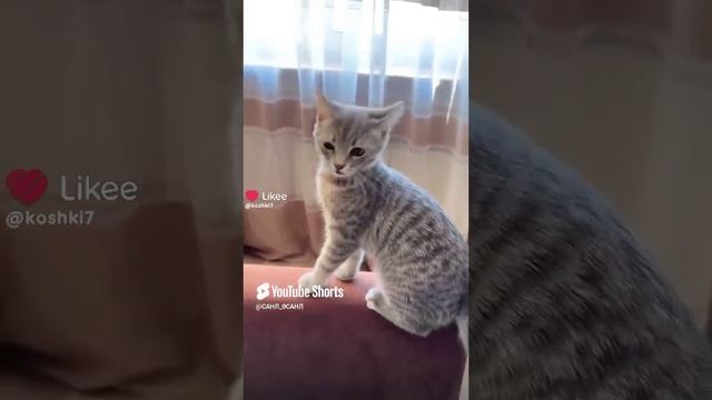 1000012381.mp4