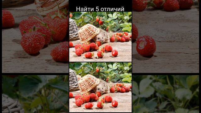 scene_output.mp4