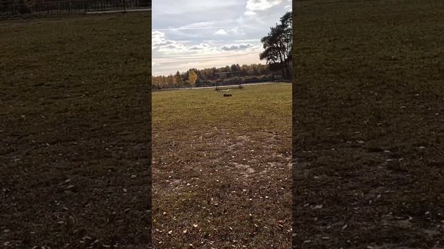 Стант на Arrma Kraton exb. #rc #rccar #arrma #arrmakraton