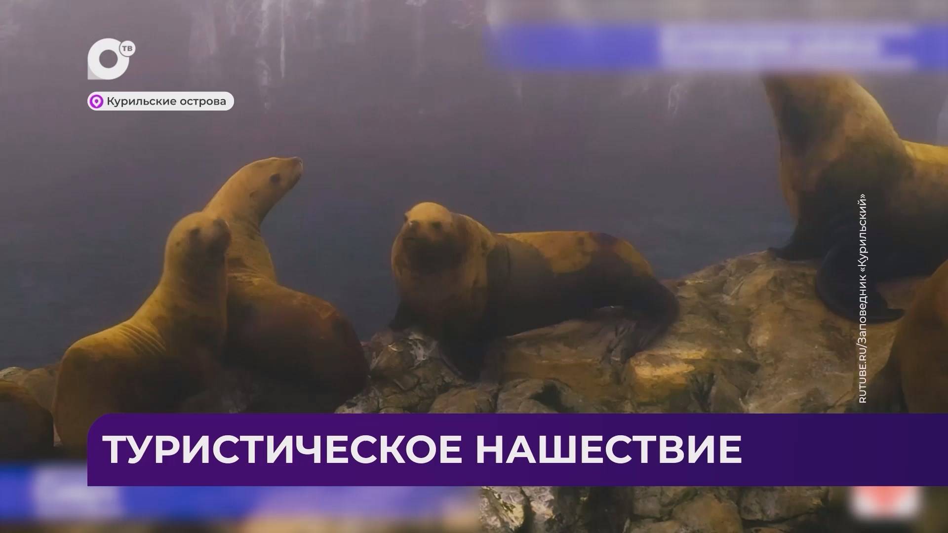 Дальний Восток Блиц / 18.12.24