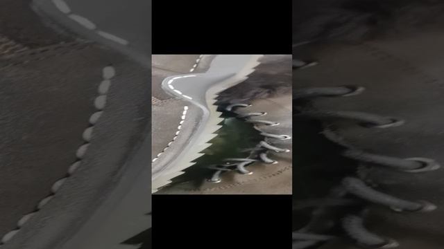VID_20241217_163151.mp4