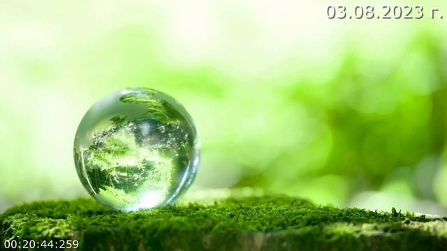 754 Воспоминания 03.08.2023 г