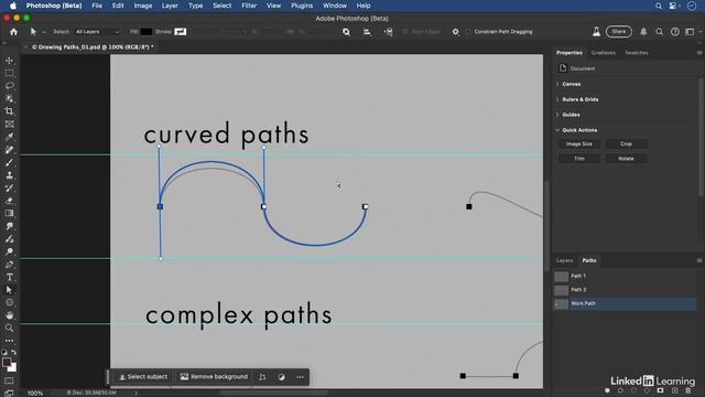 21-03 - Drawing curves with the Pen tool