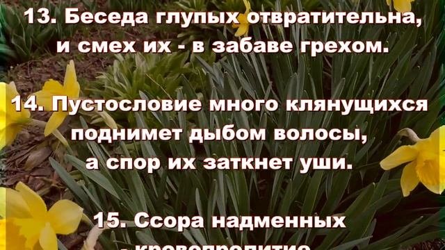 27.  Сирах