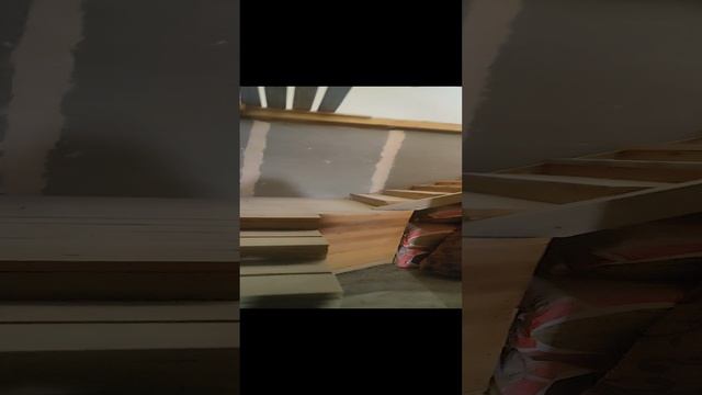 VID_20241218_144754.mp4