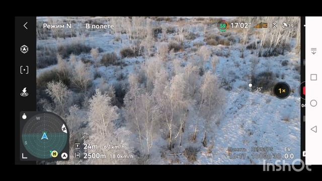 Разведка с воздуха. Много лосей. Кабаны и косули.