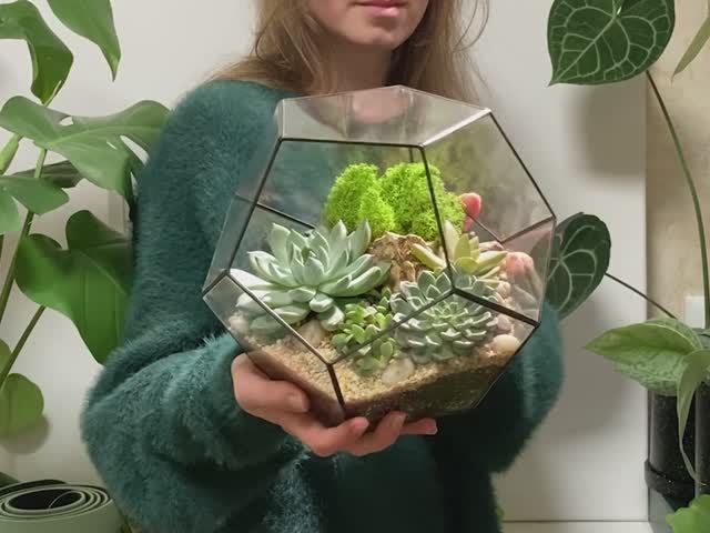 Флорариум с суккулентами