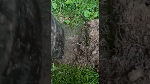 1 августа 2022 г.