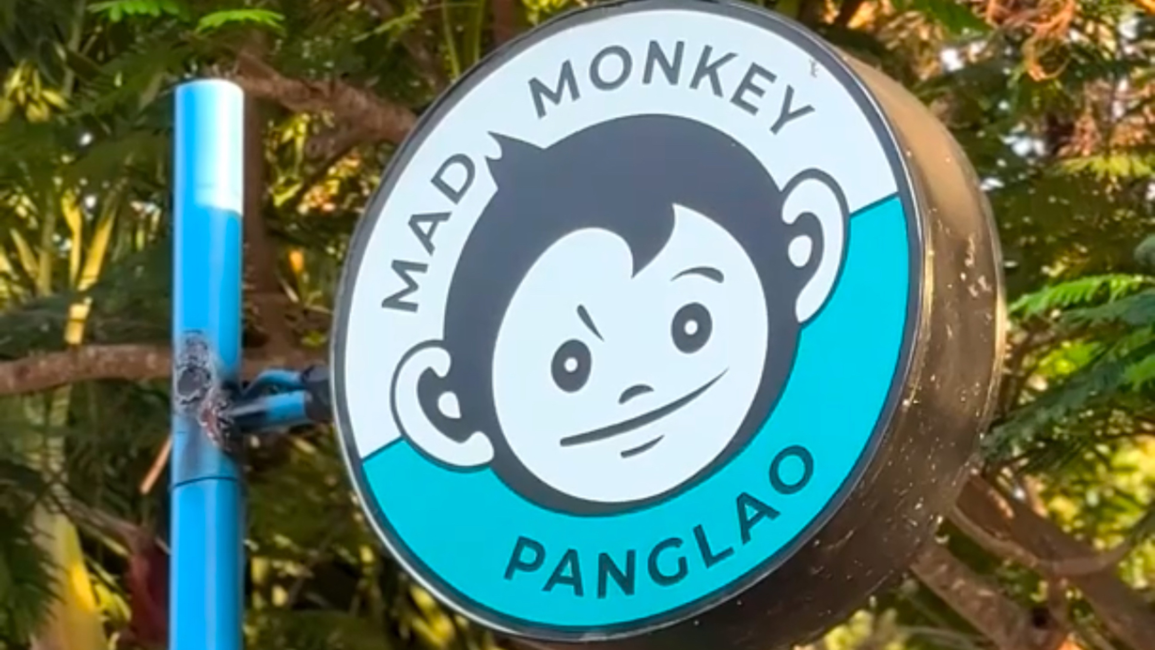 Mad monkey,panglao