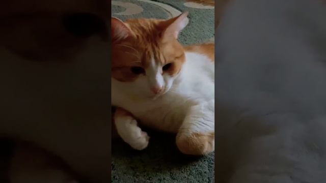 Уникальное изображение)))