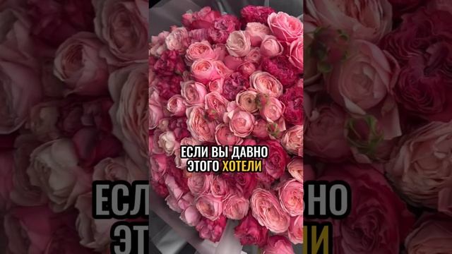 Если вы давно этого хотели