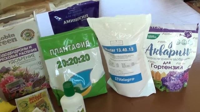 Безупречная схема подкормок для гортензийчто бы они прекрасно развивались и цвели.