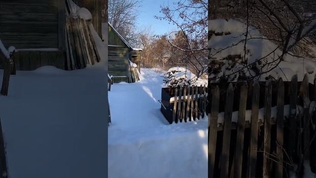 Золотистые денёчки