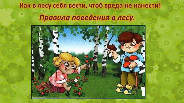 За здоровьем - в лес