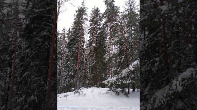 №63 Сонастройка и гармонизация высоких частот структур
