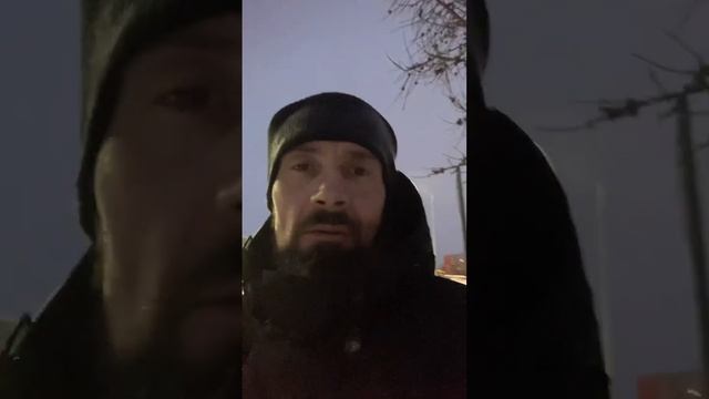 Собаки, точно понимают правду.