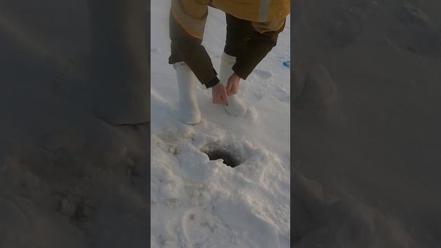 Наташа молодец, хорошую щучку выловила👍

Респект рыбачке👏