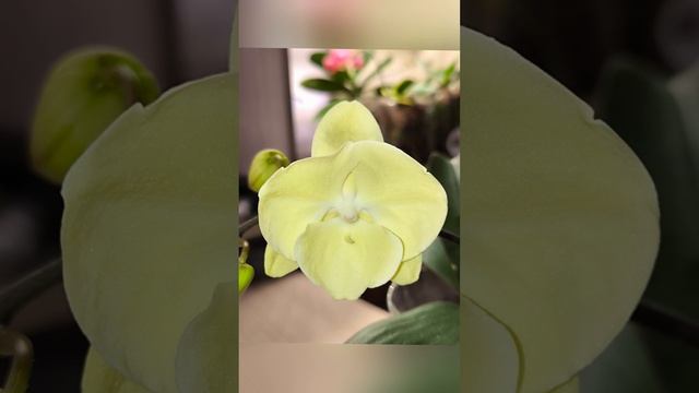 1000149152.mp4