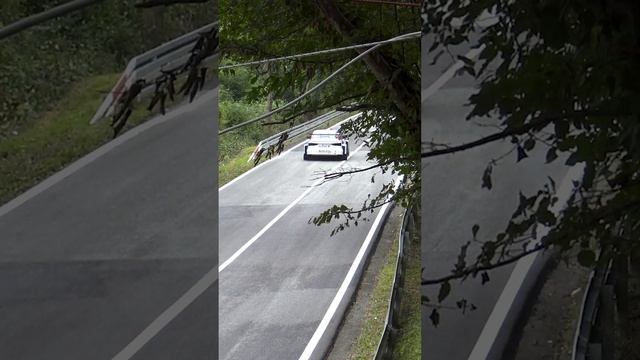 Milovan VESNIĆ #audi RS3 LMS #tcr #hillclimb