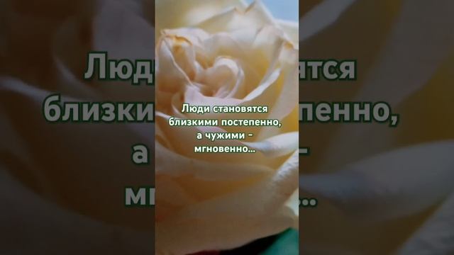 Омар Хайям.