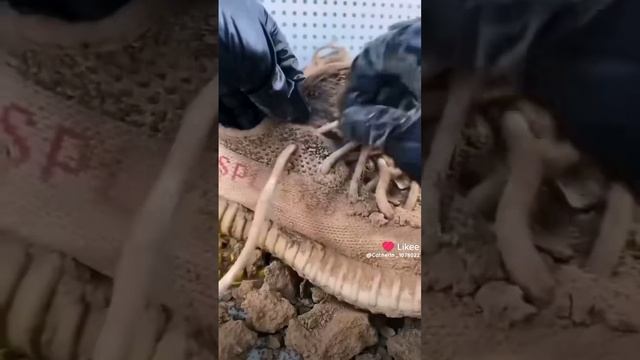 я  перехожу