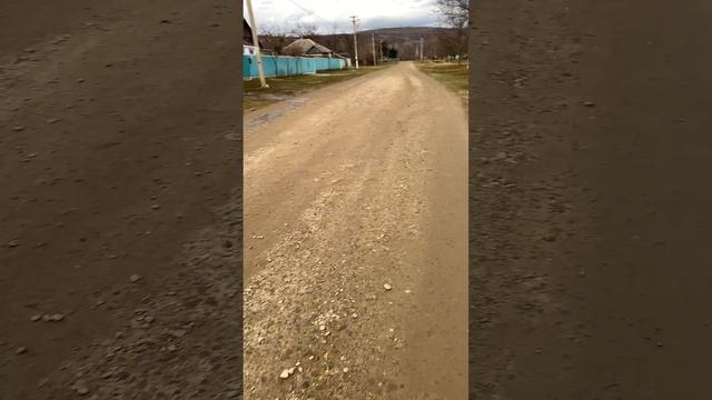 Прогулка с овчаркой. Часть 3