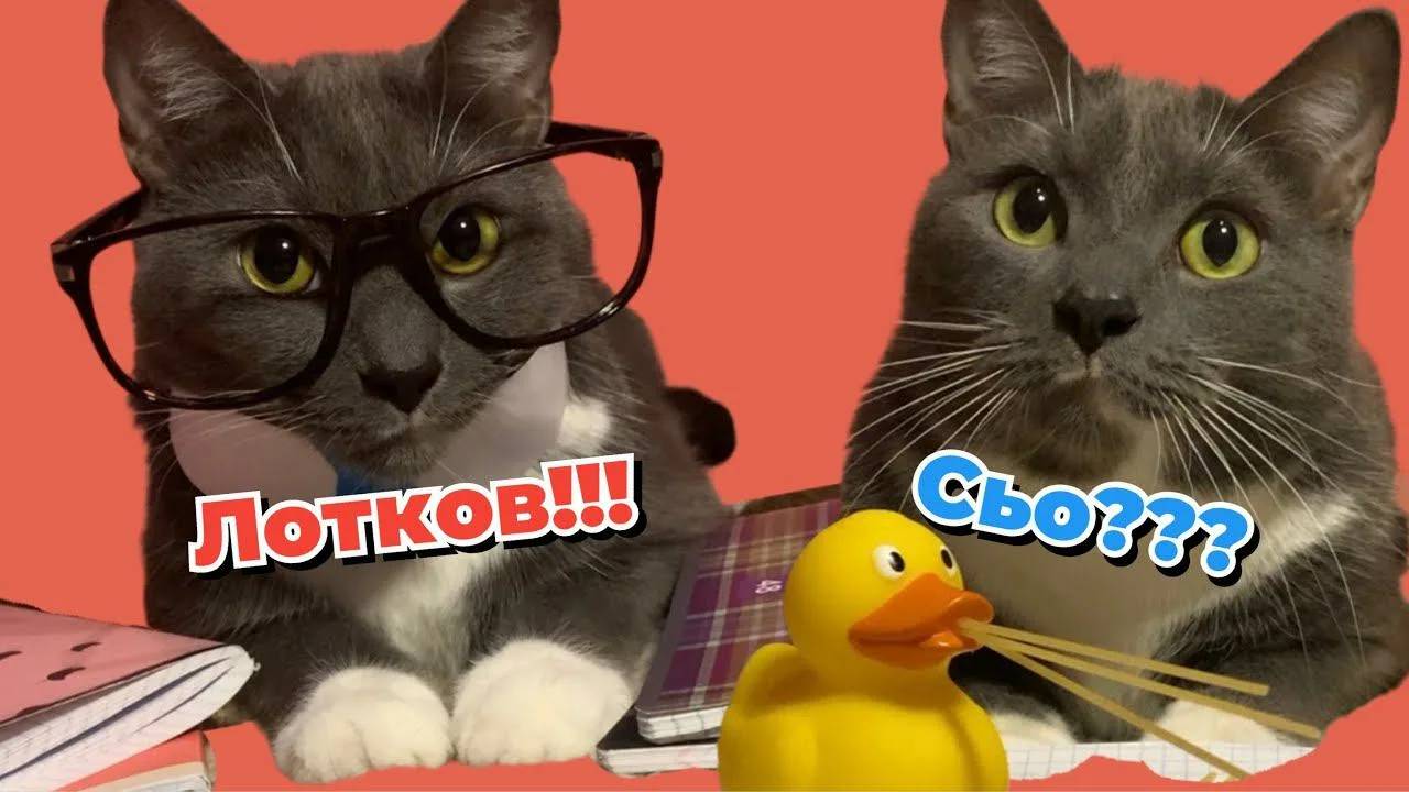 ЕСЛИ БЫ КОТИКИ ХОДИЛИ В ШКОЛУ - УТКА И ЛОТКОВ ВСТРЕЧАЮТ НОВЫЙ ГОД