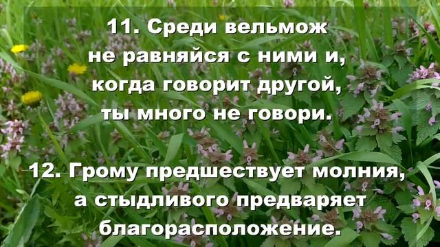 32.  Сирах