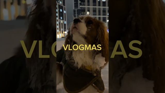 Вышел второй vlogmas❤️