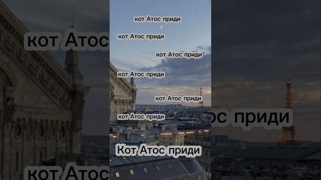 scene_output.mp4